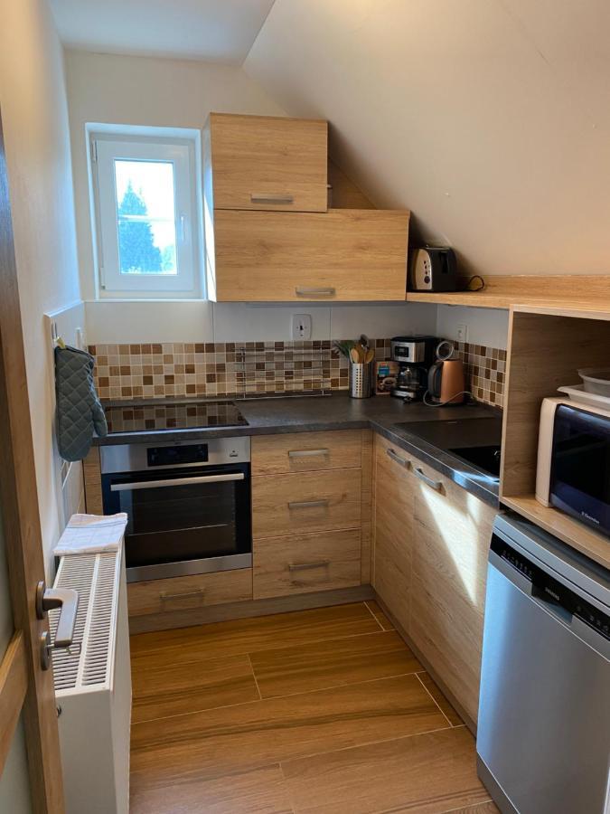 Apartman 430 Destne v Orlickych horach Εξωτερικό φωτογραφία